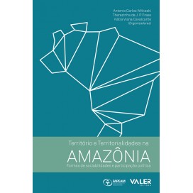 TERRITÓRIO E TERRITORIALIDADES NA AMAZÔNIA: FORMAS DE SOCIABILIDADES E PARTICIPAÇÃO POLÍTICA